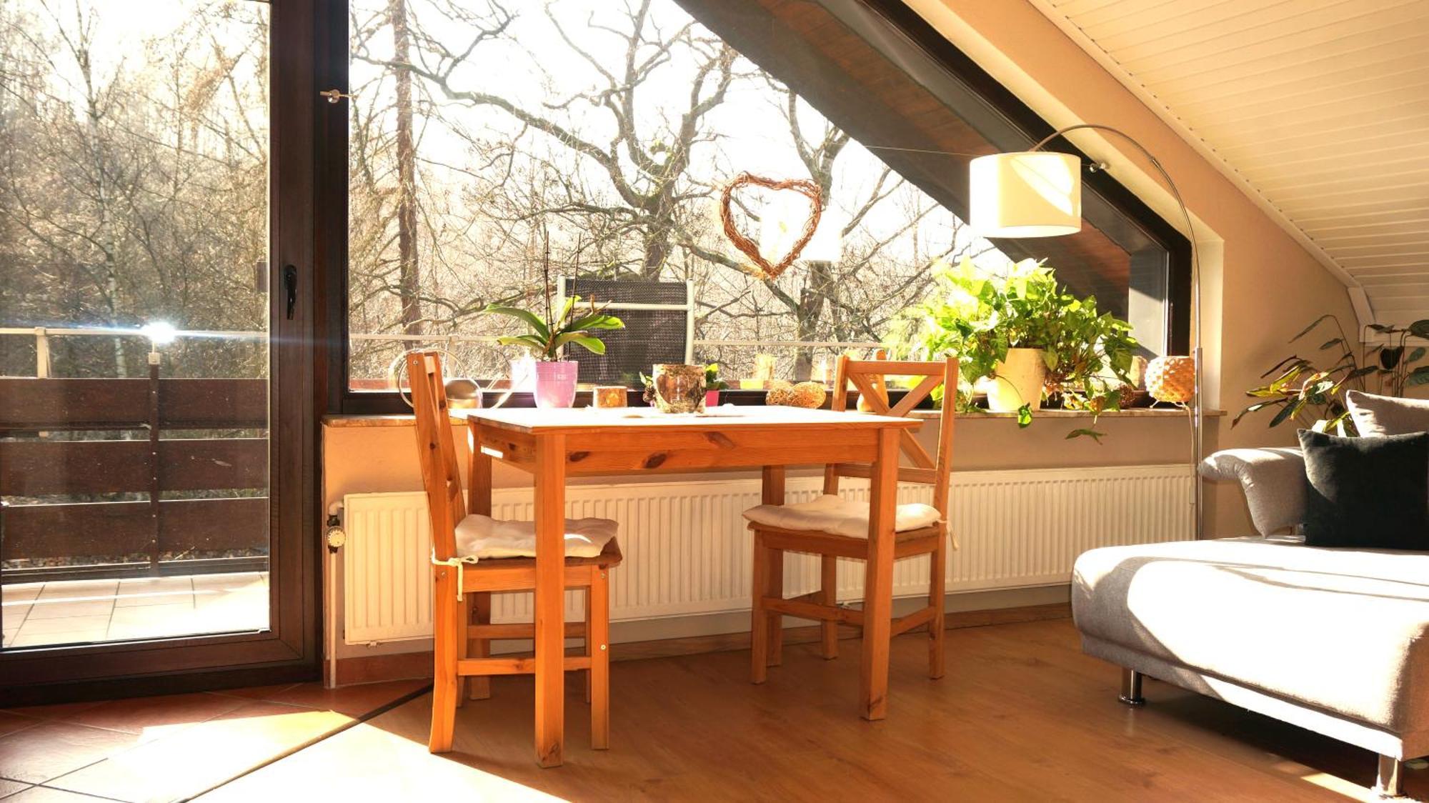 Ferienwohnung Im Wald Mit Kamin 巴特哈尔茨堡 外观 照片