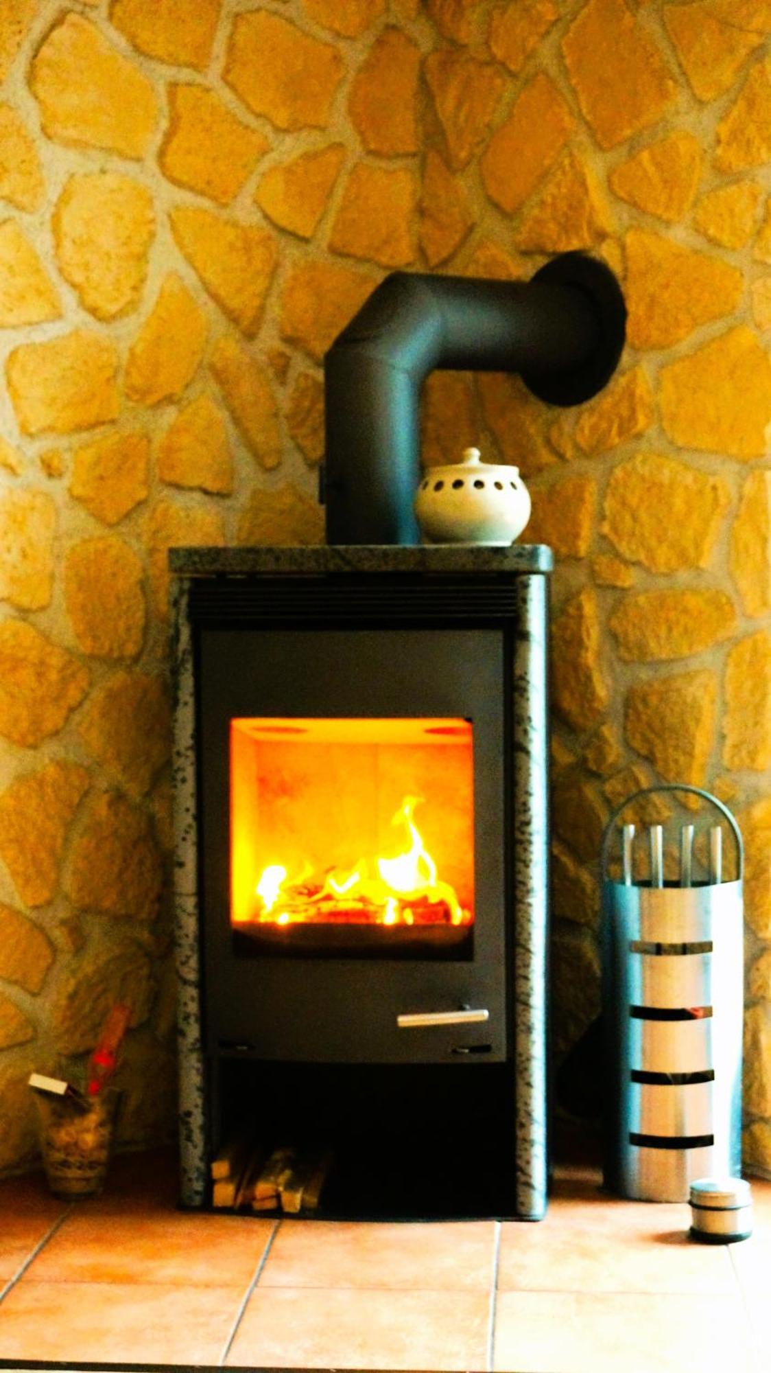 Ferienwohnung Im Wald Mit Kamin 巴特哈尔茨堡 外观 照片