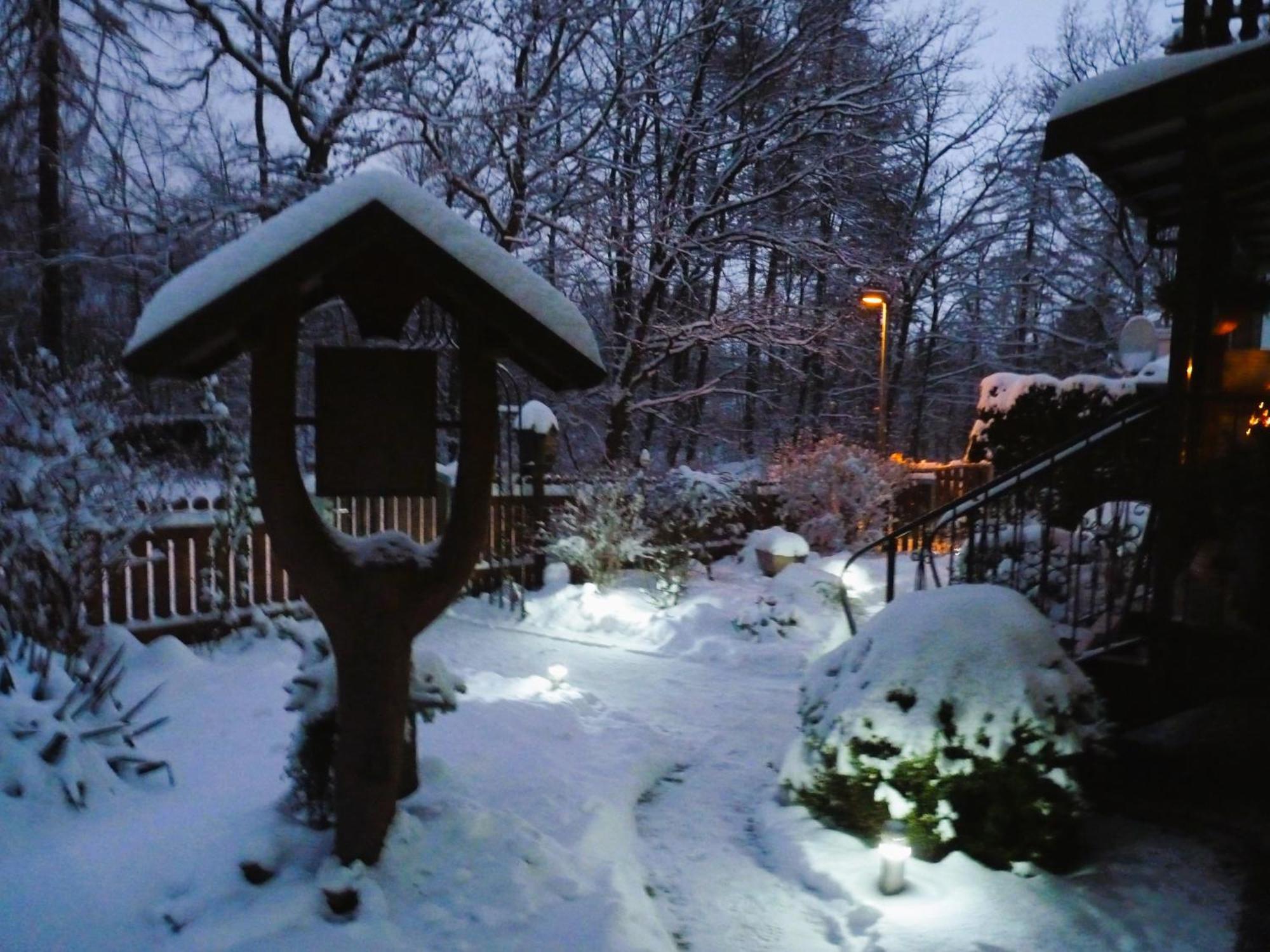 Ferienwohnung Im Wald Mit Kamin 巴特哈尔茨堡 外观 照片