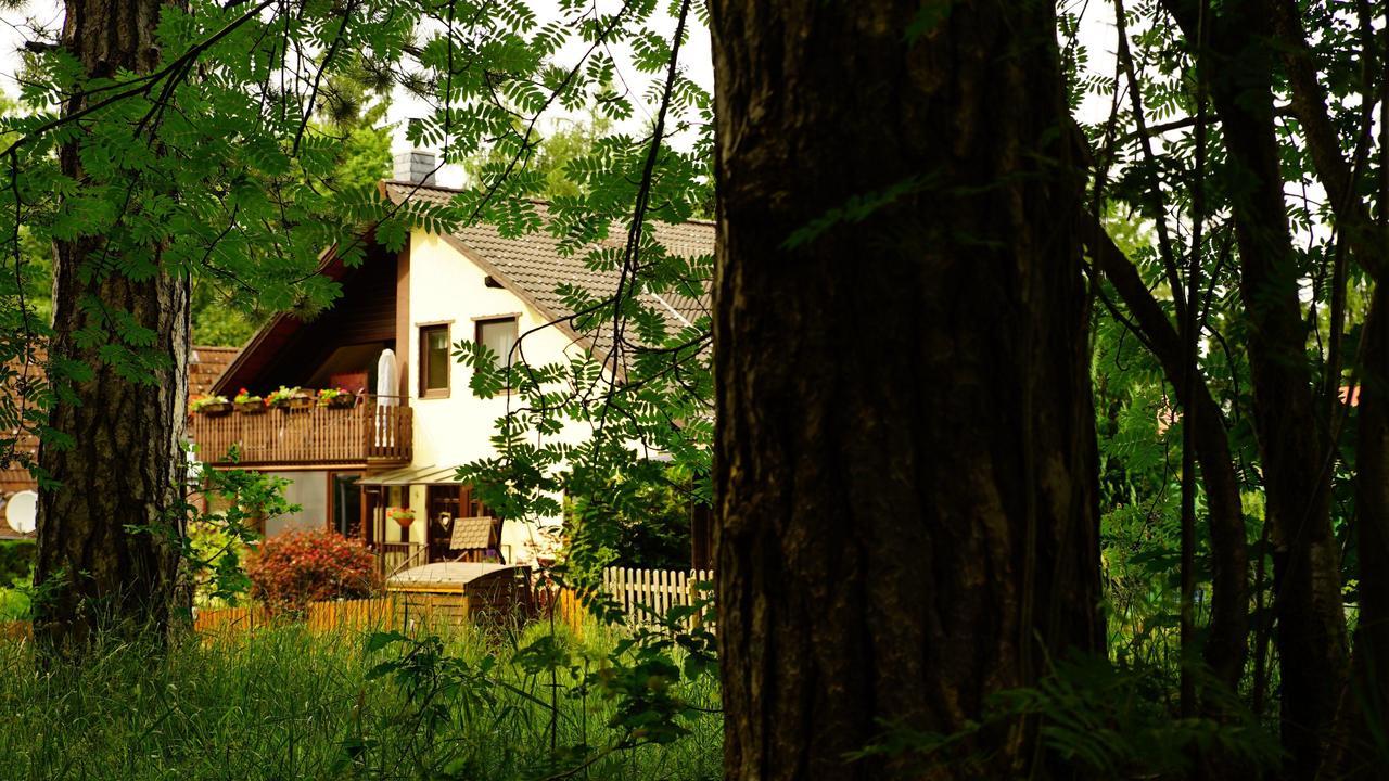 Ferienwohnung Im Wald Mit Kamin 巴特哈尔茨堡 外观 照片