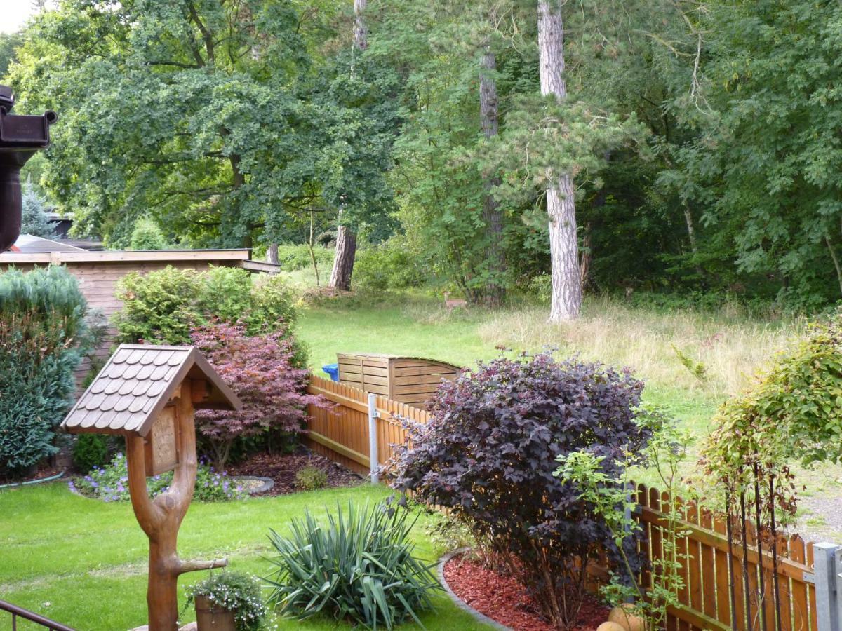 Ferienwohnung Im Wald Mit Kamin 巴特哈尔茨堡 外观 照片
